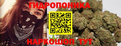 прущие грибы Гай