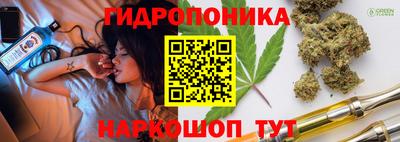 прущие грибы Гай