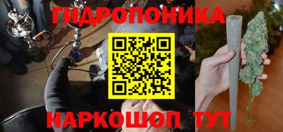 прущие грибы Гай