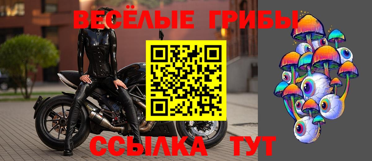 Галлюциногенные грибы MAGIC MUSHROOMS  Псилоцибиновые грибы Cubensis  Моздок  Вход с VPN 