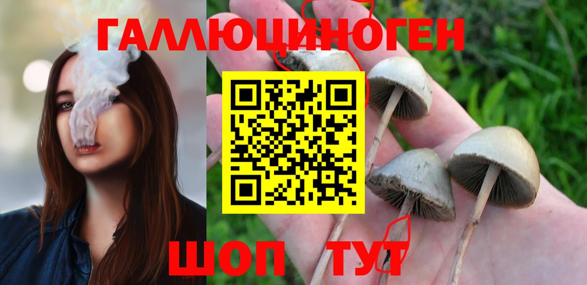 Псилоцибиновые грибы мицелий Моздок